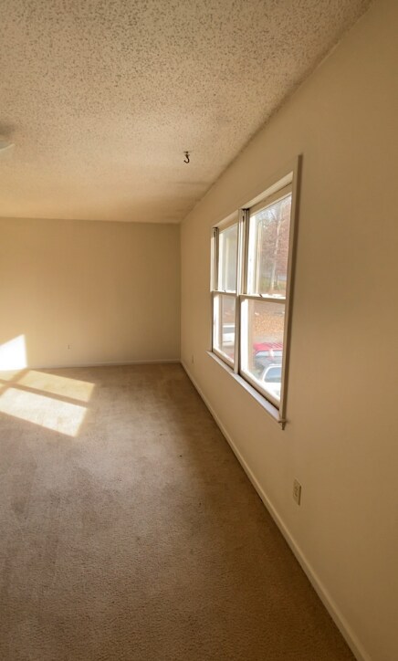 Building Photo - 710 3rd Street Pl SW