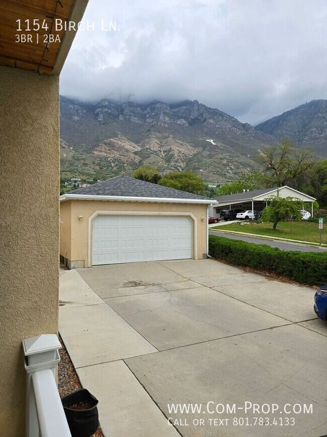 Foto del edificio - 1154 Birch Ln