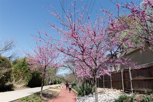 Foto del edificio - 4044 Buena Vista St