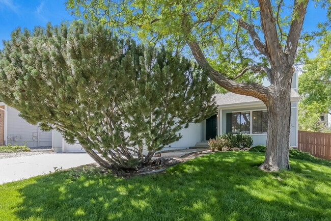 Building Photo - 514 Timberline Pl