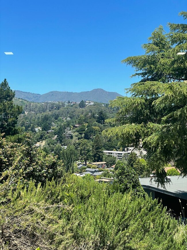 Foto del edificio - New Construction 2/1 + extra BR/Office wit...