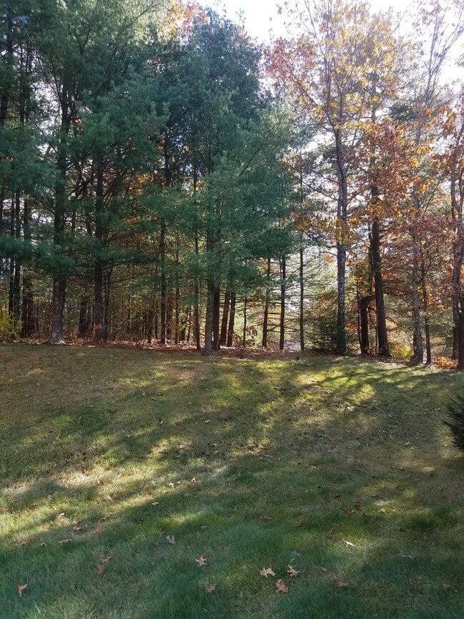 Photo - Stratton Forest Condo