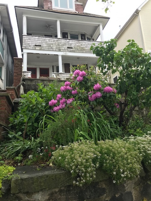 Front of house - 242 Richmond Ter