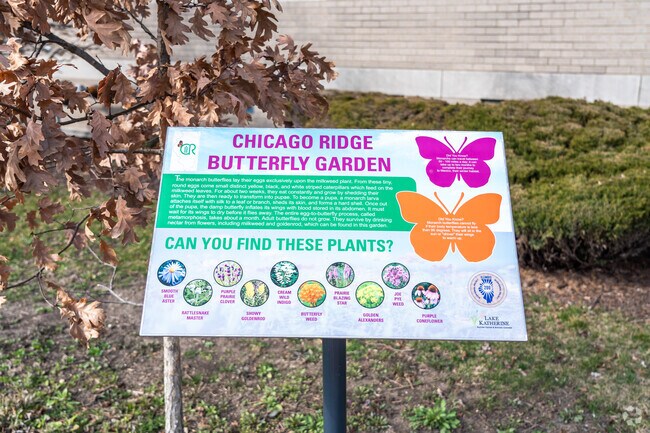 Chicago Ridge has a butterfly garden in the center of town.