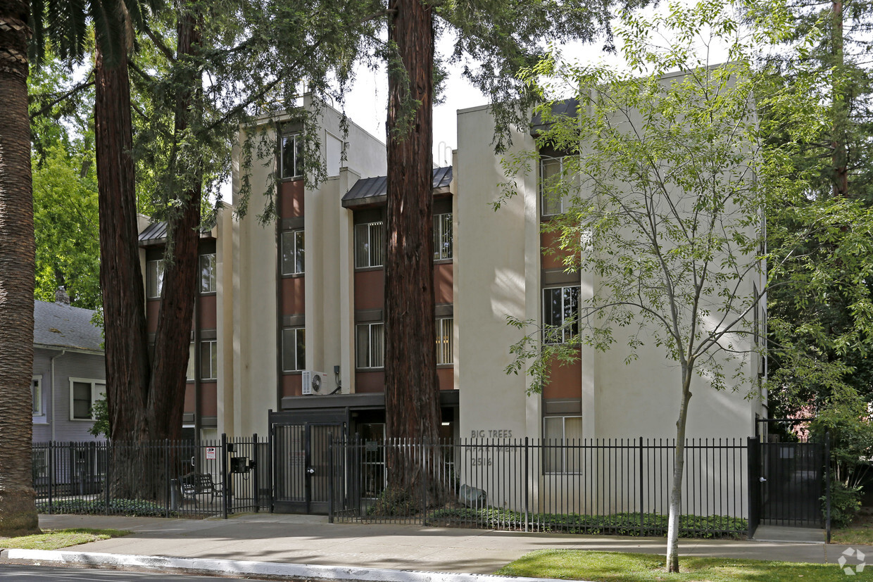 Building Photo - Big Trees Apartments