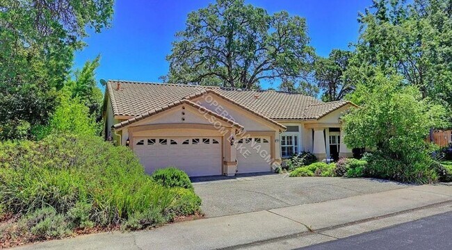 Building Photo - 4-Bedroom Single-Story Home in Briggs Ranch