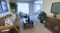 This single-floor space offers a comfortable and thoughtfully arranged interior that balances functionality with a relaxed, inviting ambiance. The living area serves as the heart of the home, featuring plush wall-to-wall carpeting that adds warmth underfoot. Large windows dressed with horizontal blinds allow generous amounts of natural light to fill the room, creating a bright and airy atmosphere throughout the day. The space is furnished with a cozy upholstered sofa accented with decorative pillows, a classic armchair with a draped throw, and a dark wood coffee table that anchors the seating area with understated elegance. Tall indoor plants placed at the corners of the room bring a touch of greenery and life to the interior. Neutral wall tones complement the earthy furnishings, contributing to a cohesive and calming color palette. An open archway transitions smoothly into an adjoining area, suggesting a connected and open floor plan that enhances the overall sense of space. Additional furniture visible through the archway hints at a dedicated workspace or secondary sitting area, making this a versatile and well-utilized layout suited for everyday living.