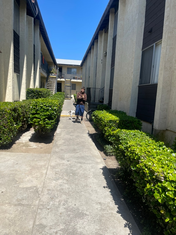 Building Photo - 344 S Willie James Jones Ave