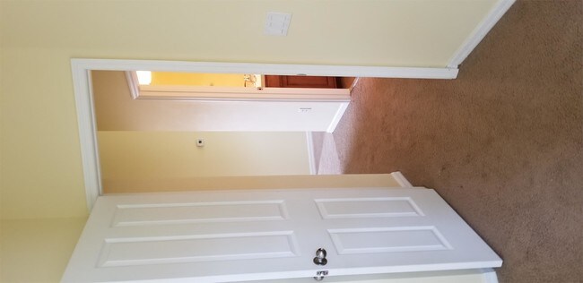 Building Photo - 3150 Riachuelo Ln