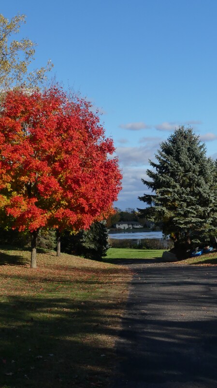 Building Photo - 320 Sawmill Ln
