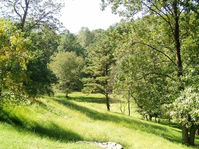 Building Photo - 391 E Rose Tree Rd