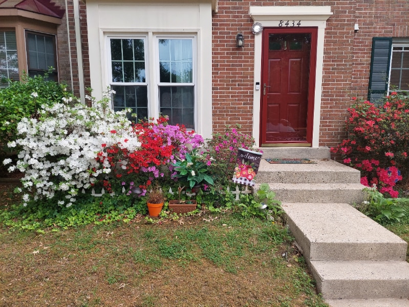 Photo - 8434 Springfield Oaks Dr