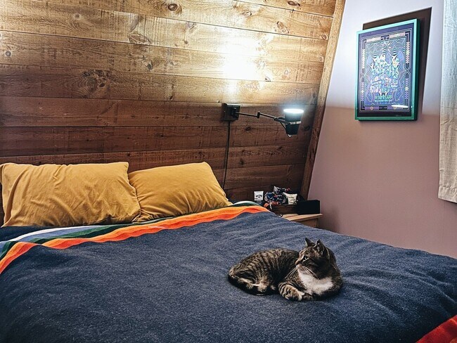 Building Photo - 1 Bedroom + Pullout Sofa Single Family Hom...