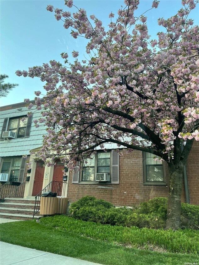 Primary Photo - 71-4371- Park Dr E