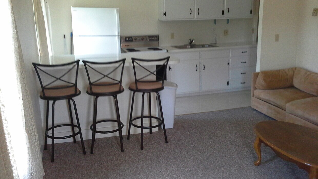 2022 Danby Rd Unit 3, Ithaca, NY 14850 Apartments in Ithaca, NY