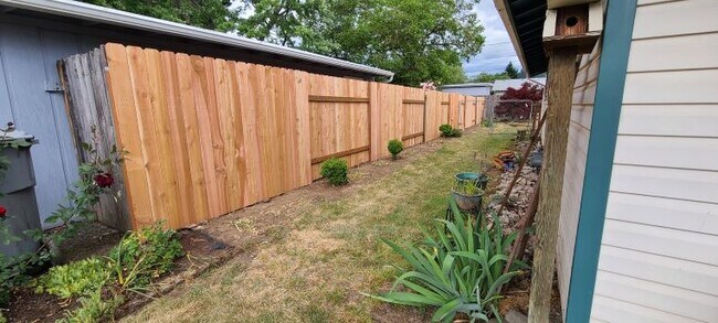 Side yard - 1225 Hiatt St