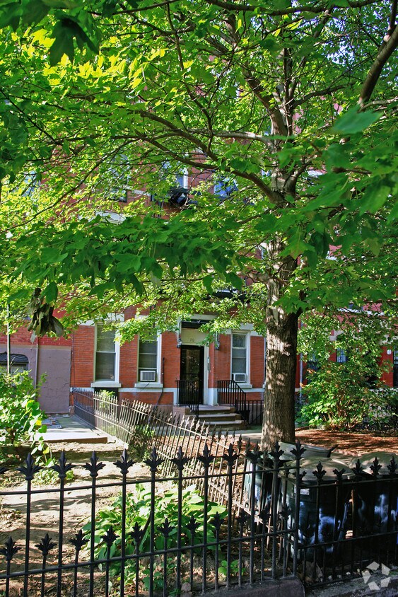 Primary Photo - CARROL GARDEN