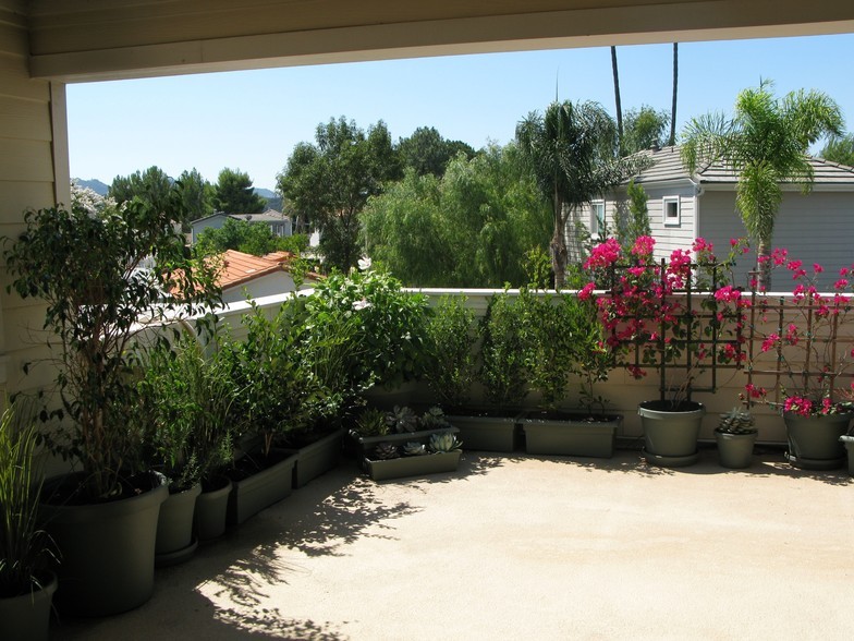 deck overlooking the Santa Monica Mountain - 1101 Cherokee