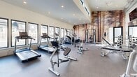 Located in Pleasant Grove, Utah, this fitness center offers a generously sized, single-floor layout designed to support a full range of workout routines. The space features soaring ceilings with large clerestory windows positioned near the roofline, allowing natural light to pour in and create an open, energizing atmosphere. A row of floor-to-ceiling windows along one wall provides views of the surrounding neighborhood, further enhancing the bright and airy feel of the room.

The flooring throughout is durable rubber gym matting, well-suited for both cardio and strength training activities. Cardio equipment is prominently represented, with multiple treadmills, elliptical machines, a stair climber, stationary bikes, and a rowing machine arranged to make efficient use of the floor space. The strength training area includes a cable machine, a variety of selectorized machines by HOIST, a full dumbbell rack, adjustable benches, and an assortment of stability and medicine balls.

A large wall-to-wall mirror spans one end of the room, expanding the sense of space and aiding in form monitoring during workouts. A striking floor-to-ceiling photographic mural of a forest of tall trees serves as a dramatic focal point on the opposite wall, adding a natural, immersive element to the interior design. Mounted televisions are positioned for visibility across the room. Recessed lighting complements the natural light, ensuring the space is well-illuminated at all times.