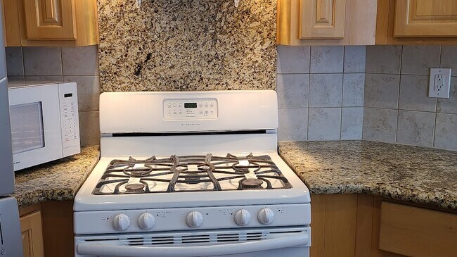 Kitchen range - 1471 S Wooster St