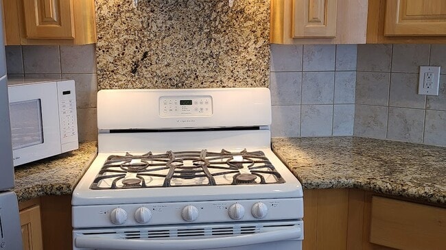 Kitchen range - 1471 S Wooster St