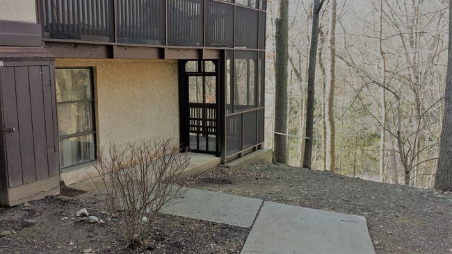 Entrance & Patio - 257 Shawmont Ave