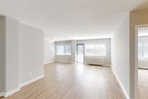 Located at 8201 16th St NW in Silver Spring, MD, this well-appointed one-bedroom, one-bathroom residence offers a thoughtfully designed single-floor layout with a clean, modern aesthetic throughout. The expansive combined living and dining area is a standout feature, bathed in natural light streaming through multiple large windows dressed with horizontal blinds. Light-toned hardwood-style flooring flows seamlessly through the main living spaces, complementing the neutral gray-toned walls and crisp white trim. A sliding glass door leads directly to a private balcony, extending the sense of openness. The galley-style kitchen is outfitted with warm wood cabinetry, granite-style countertops, stainless steel appliances including a gas range, refrigerator, and built-in microwave, and a deep stainless steel sink. The generously sized bedroom features plush wall-to-wall carpeting, a ceiling fan with light fixture, a bright window with a radiator beneath, and ample closet access. The unit includes four closets total, providing exceptional storage. The bathroom is finished with a tub/shower combination, textured tile surround, and a granite-topped vanity. A welcoming hallway entry with a mirrored closet completes this well-organized and light-filled home.