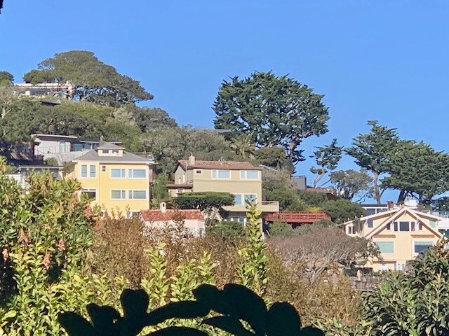 Views from your Deck - 310 Valley St