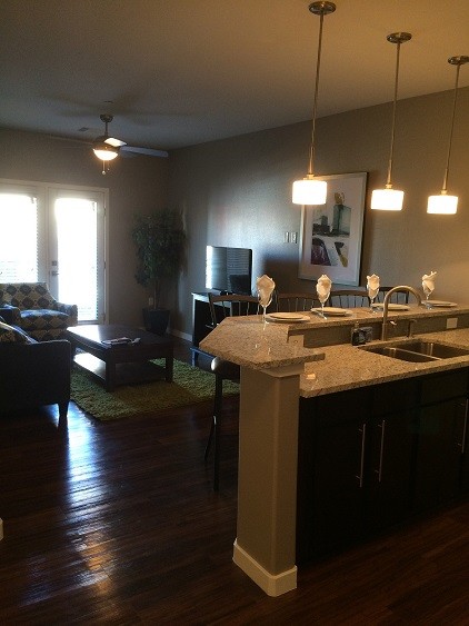 main room - 165 W Castellano Dr