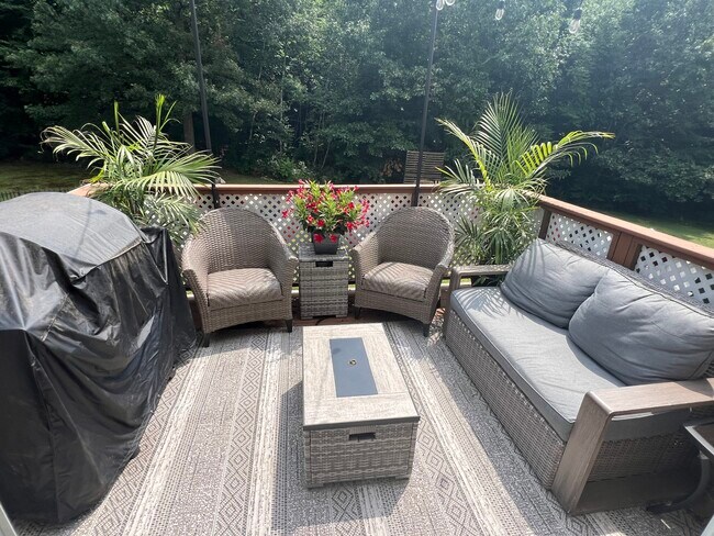 Cubierta - 237 Green Ave