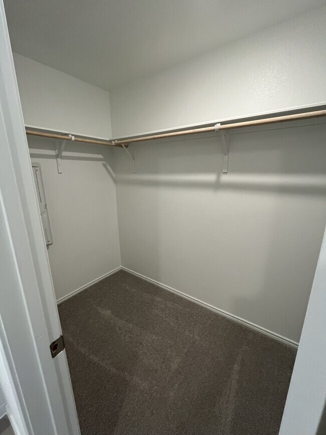 Foto del edificio - 217 Pink Footed Pass