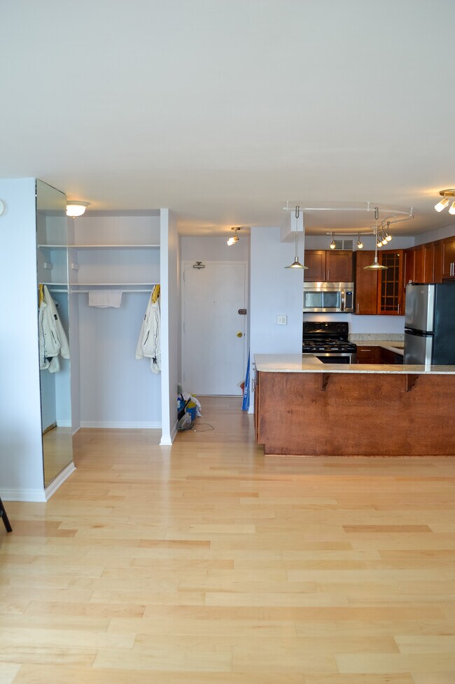 Kitchen and entry way, storage closets - 1460 N Sandburg Ter