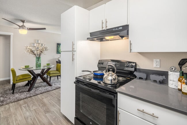 Electric Stove and Range - The Renton Sage Apartments