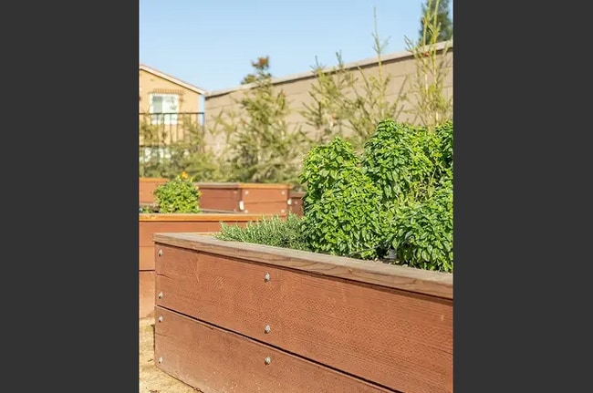 Building Photo - 525 Willard Dr