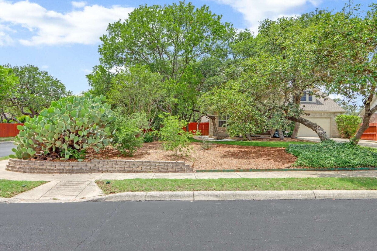 Primary Photo - 9519 Rocksprings St