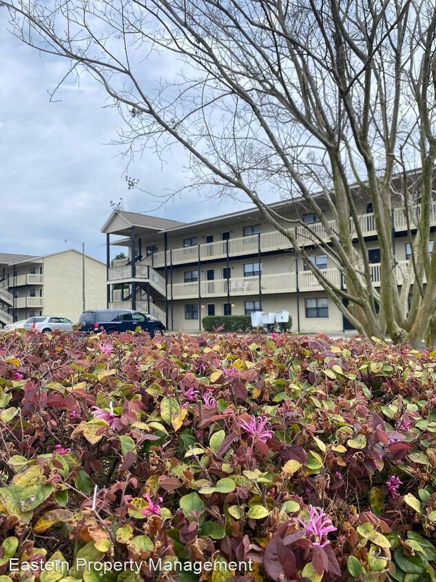 Primary Photo - 2 br, 1 bath Apartment - 115 Brownlea Drive