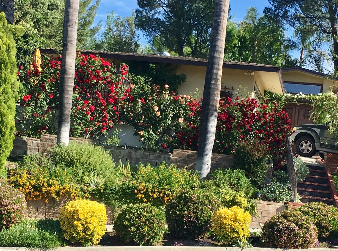 47 Apartments Available for Rent in Calabasas, CA