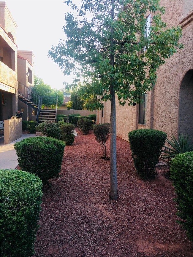 Foto del edificio - 1521 W Denton Ln