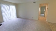 This single-story space presents a clean, functional layout centered around a generously sized main living area. The room is finished with wall-to-wall neutral-toned carpeting that extends throughout, lending a cohesive and comfortable feel underfoot. Smooth, light-colored walls keep the space bright and versatile, while a ceiling-mounted HVAC vent ensures year-round climate comfort.

Natural light enters through a large sliding glass door positioned along one wall, fitted with vertical blinds that allow for adjustable light control and provide access to an outdoor area beyond. The sliding door serves as a notable architectural feature, visually opening the room and connecting the interior to the exterior.

A hallway visible from the main living area leads to additional rooms, suggesting a practical and straightforward floor plan. The connecting spaces appear to continue the same neutral carpet and light wall palette, maintaining a consistent aesthetic throughout. The overall ambiance of the space is understated and move-in ready, offering a blank canvas well-suited for a variety of furnishing arrangements and personal styles.