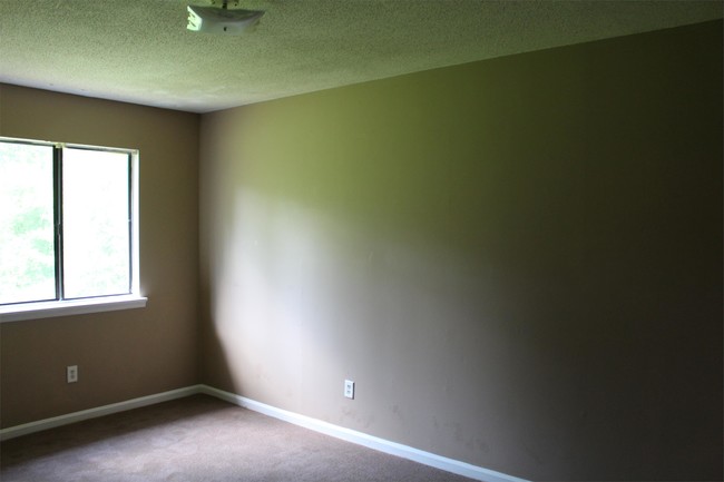 Building Photo - 509 Park Ln