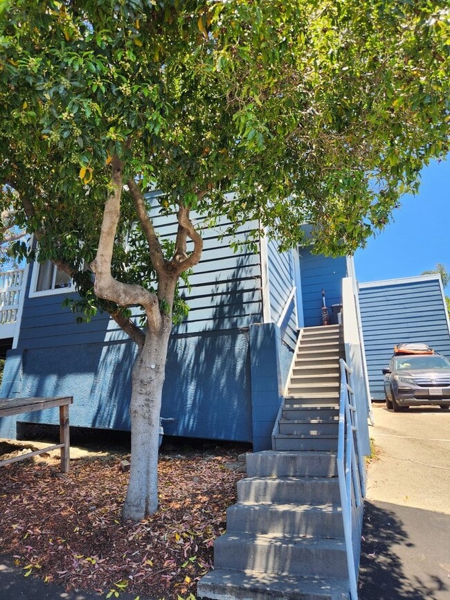 Building Photo - 124 Fontana Ave