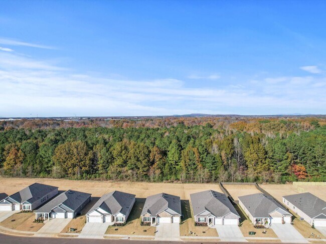 Building Photo - Spacious 4-Bed, 3-Bath New Home with 3-Car...