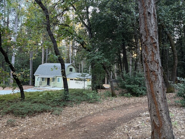 Building Photo - 4224 Falcon Ln