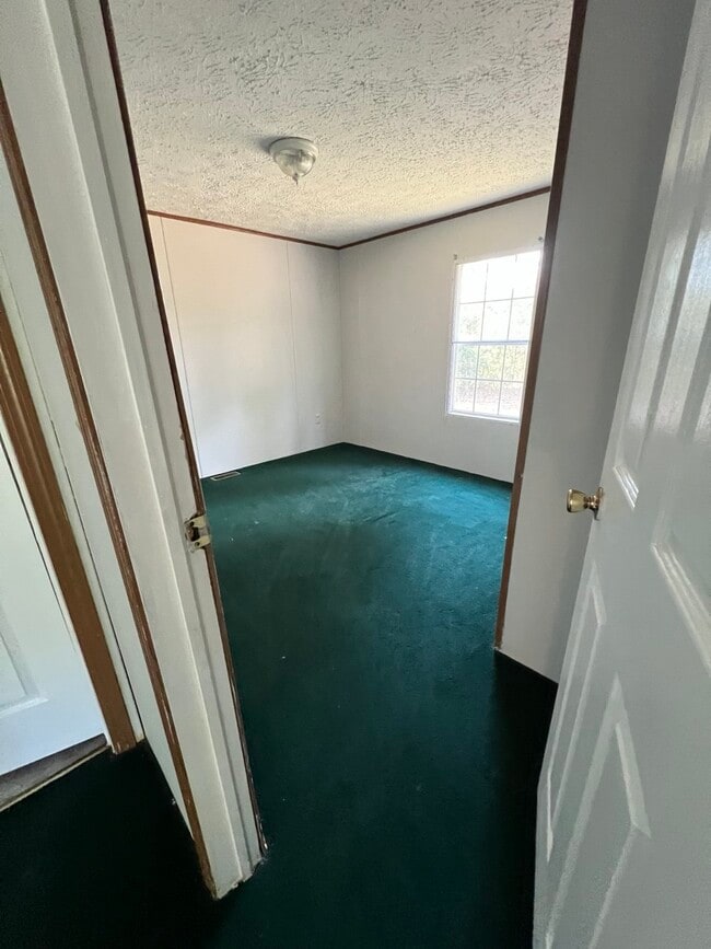 Foto del edificio - 15 Bark Dr