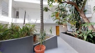 This single-floor space is centered around a bright, open-air courtyard that serves as a defining architectural feature. The courtyard is designed to bring nature indoors, showcasing a curated collection of tropical plants, including a tall palm tree, dracaena, and lush ferns, all set within curved, charcoal-grey raised planters that add a sculptural quality to the layout. The smooth, light-grey concrete flooring provides a clean, minimalist foundation that complements the white rendered exterior walls. A warm-toned wooden door provides a focal point along the ground-level corridor, offering a natural contrast to the otherwise neutral palette. Above, a continuous metal railing lines the upper-level walkway, suggesting a multi-unit or multi-purpose building structure. Dappled natural light filters through the canopy of trees, creating a tranquil, garden-like atmosphere throughout the day. The overall ambiance is contemporary yet inviting, with the interplay of clean architectural lines and organic greenery lending the space a calm, resort-inspired character.
