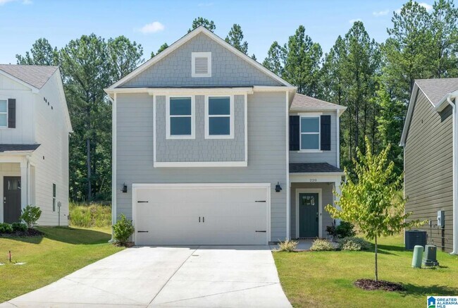 Building Photo - 220 Chelsea Pk Cir