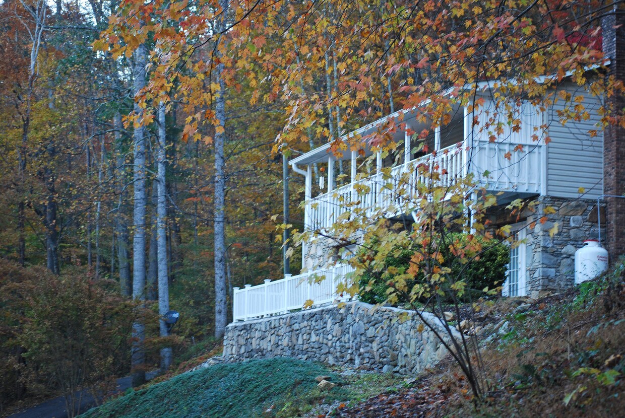 31 Jones Cove Rd, Asheville, NC 28805 Townhome Rentals in Asheville