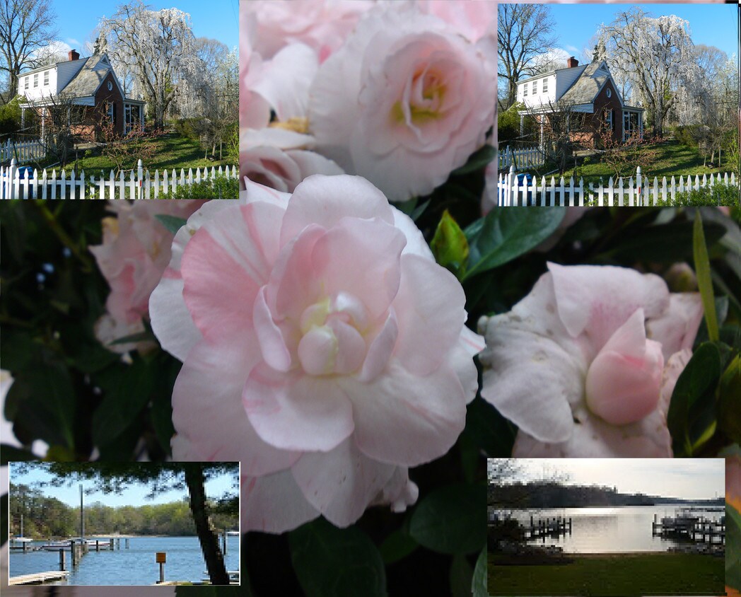 201 Evergreen Rd, Severna Park, MD 21146 Apartments in Severna Park