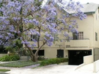 Fachada del edificio - 11244 Morrison Ave