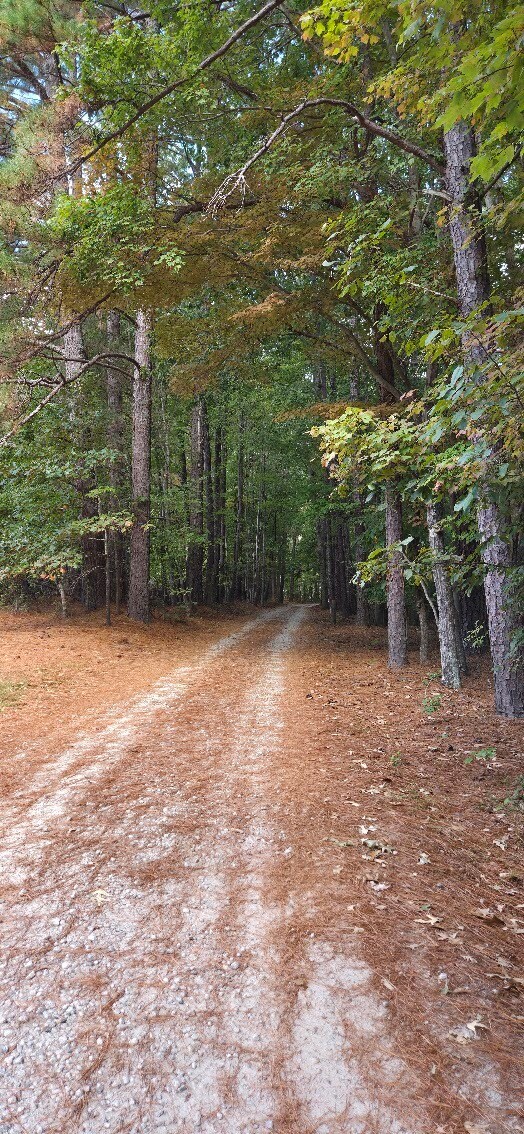 Building Photo - 2212 Old Kearney Rd